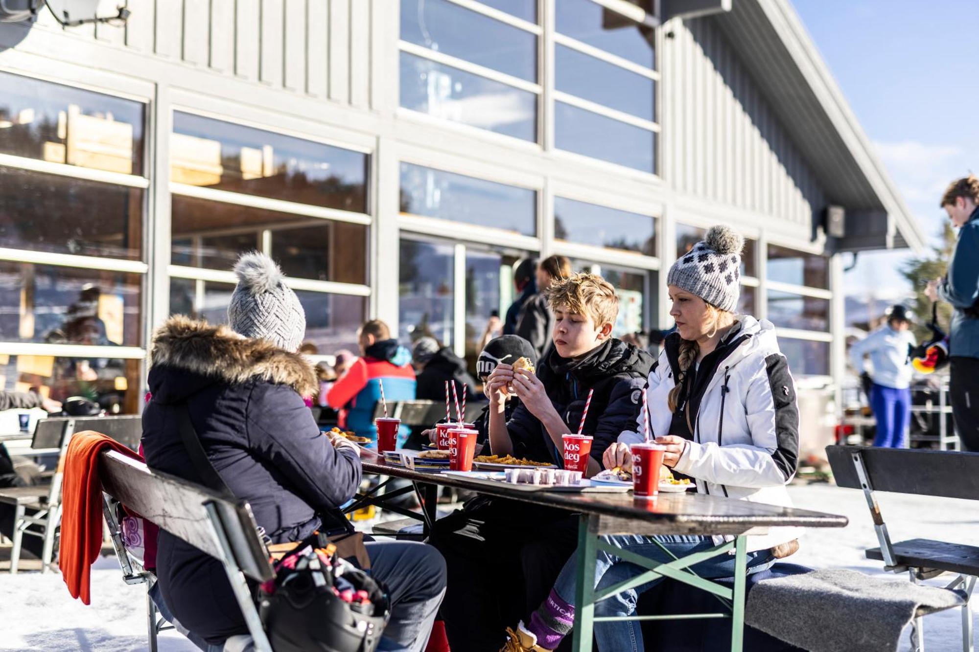 Vradal Ferieleiligheter Kültér fotó
